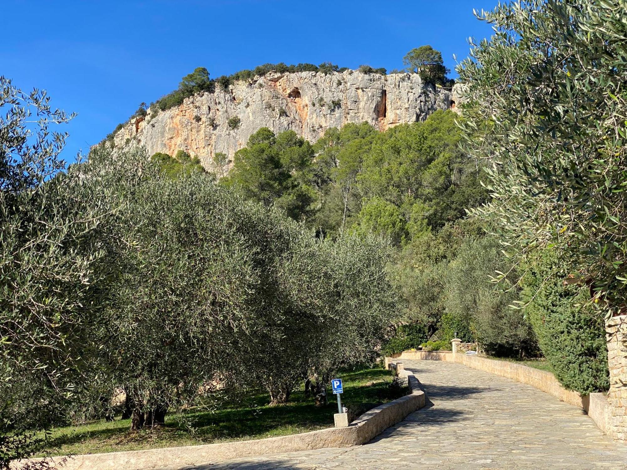 Le Mas De San Lou Cabasse Bagian luar foto
